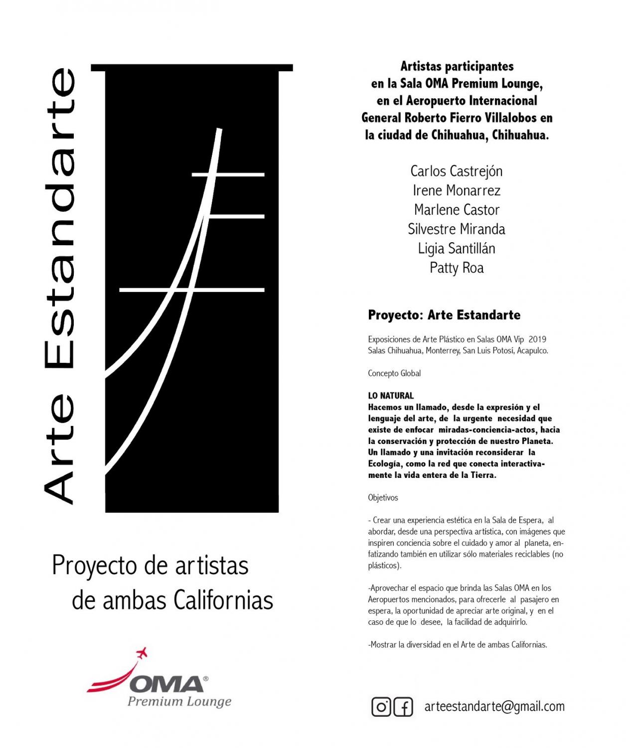PROYECTO ARTE ESTANDARTE